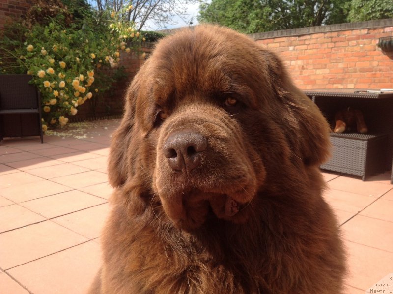 Фотография № 236285