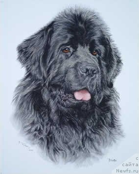 Фотография № 236287