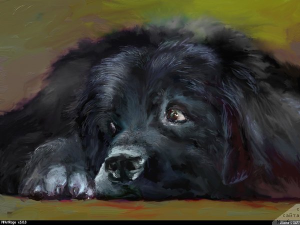 Фотография № 236288