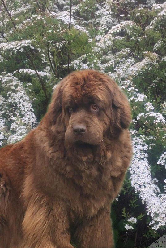 Фотография № 236290