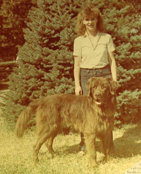 Фото: ньюфаундленд Ратмир