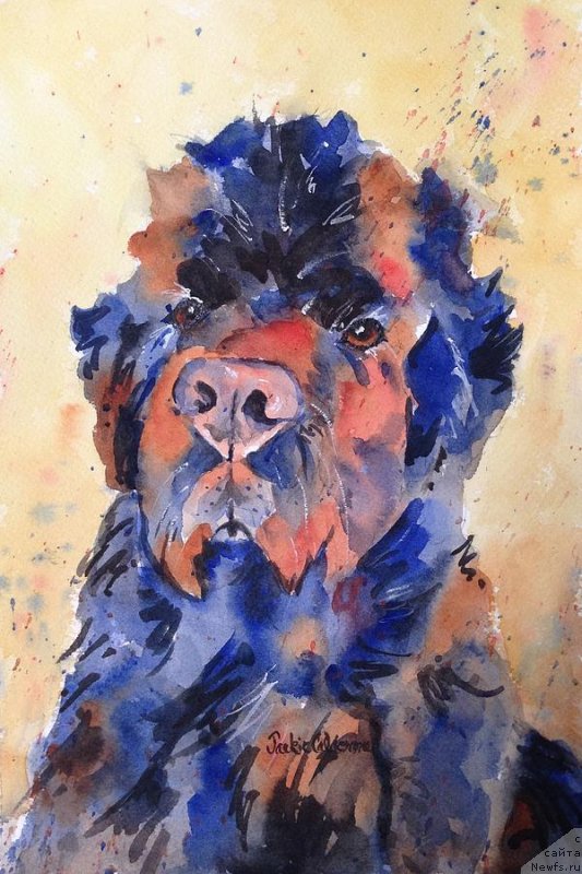 Фотография № 236346