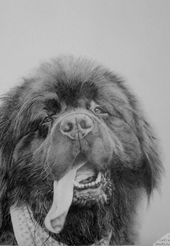 Фотография № 236347