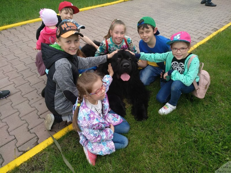 Фотография № 236349