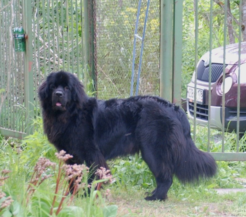 Фотография № 236362