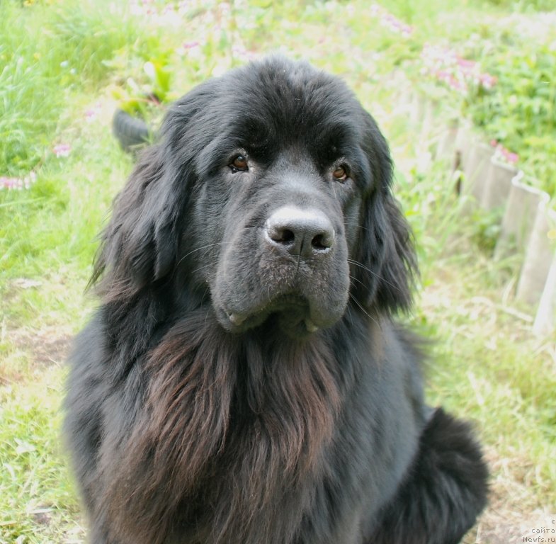 Фотография № 236364