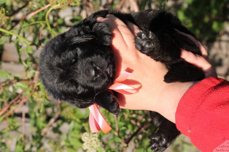 Фото: Obush Shed Innerste I Min Sjels