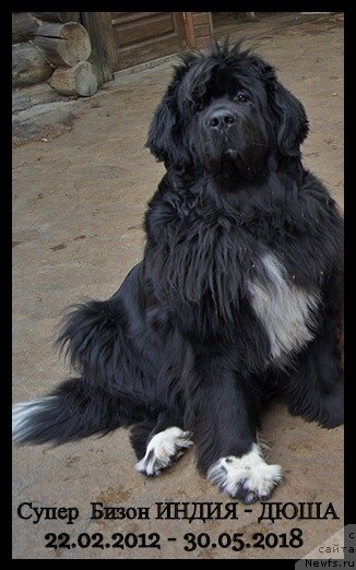 Фотография № 236403