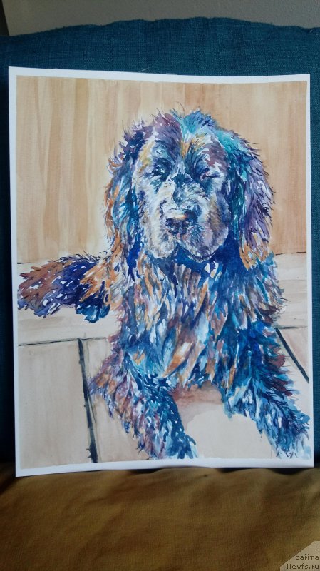 Фотография № 236438