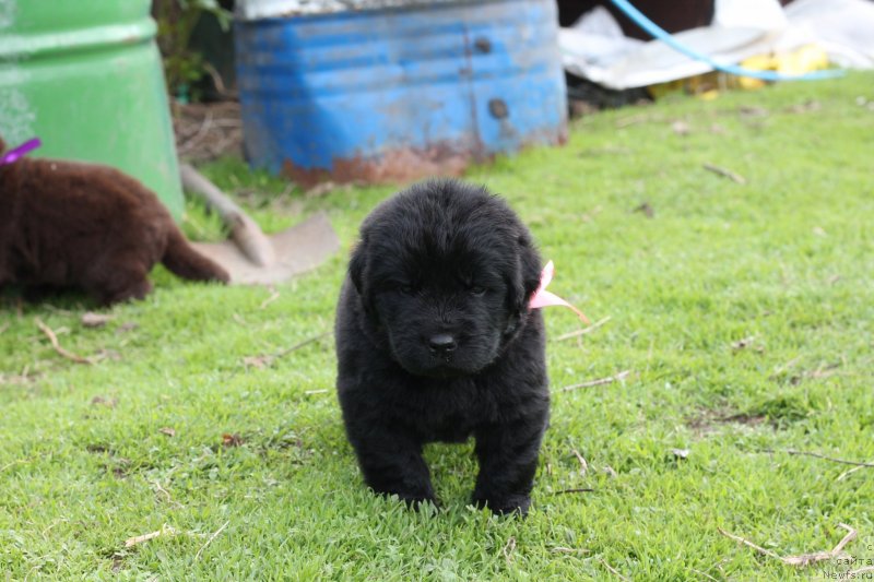 Фото: Obush Shed Innerste I Min Sjels