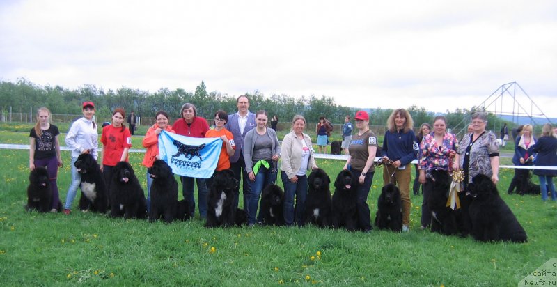 Фотография № 236452