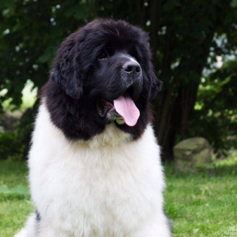 Фотография № 236463