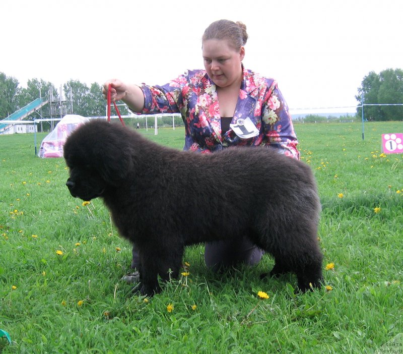 Фотография № 236469