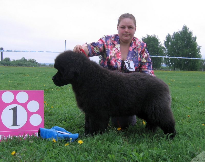 Фотография № 236470