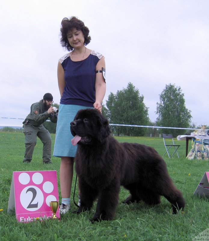 Фотография № 236476