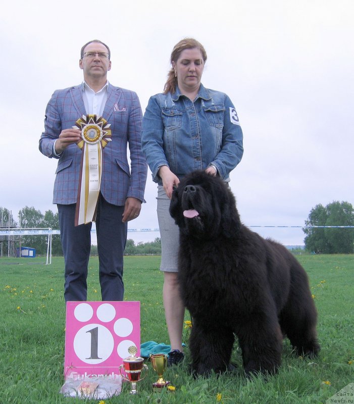 Фотография № 236478