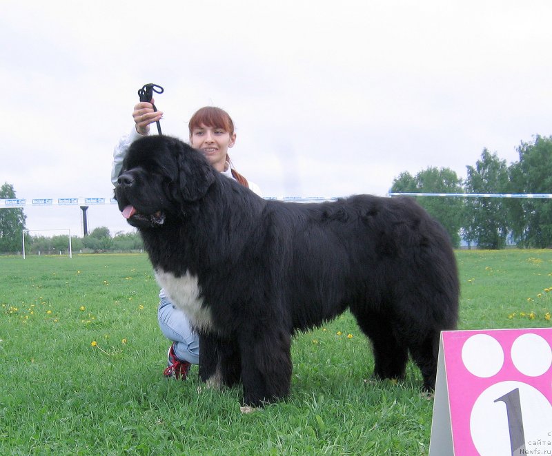 Фотография № 236488