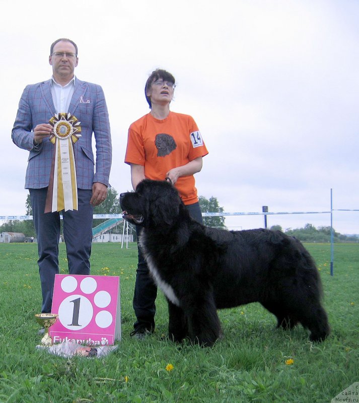 Фотография № 236491