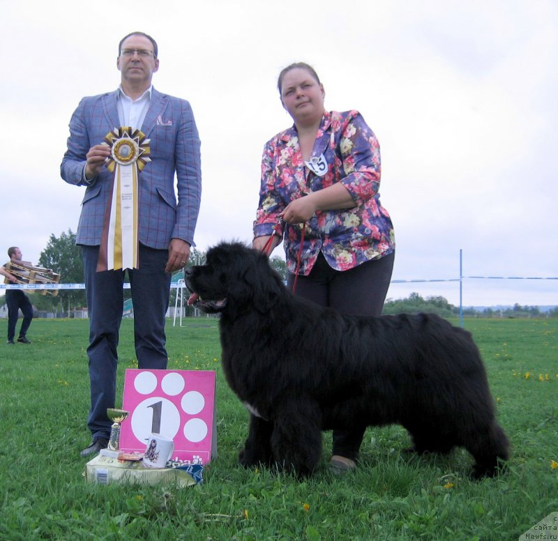 Фотография № 236495