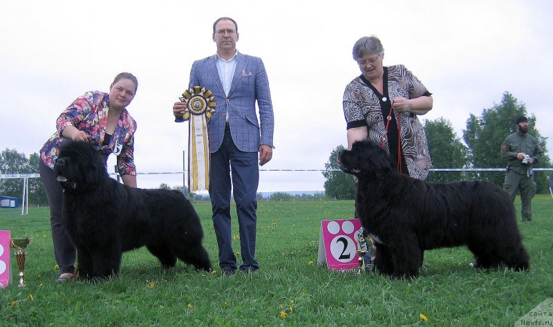 Фотография № 236497