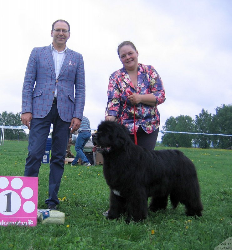 Фотография № 236498