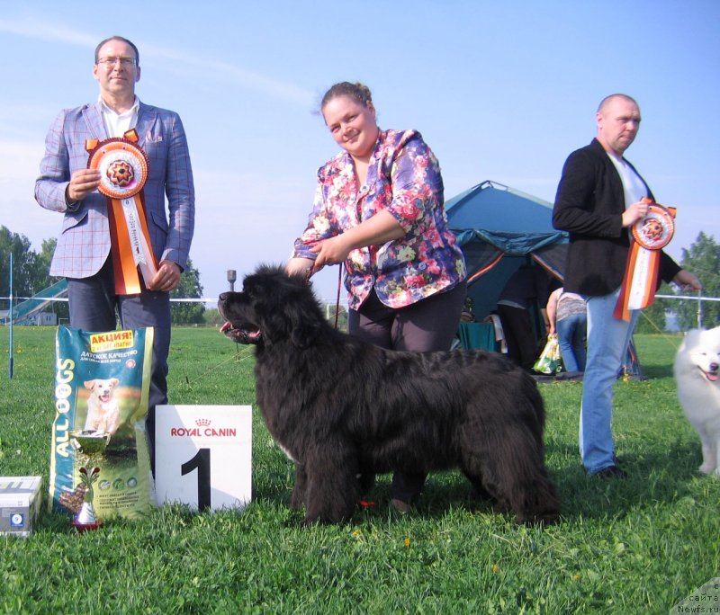 Фотография № 236500