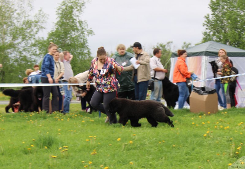 Фотография № 236505