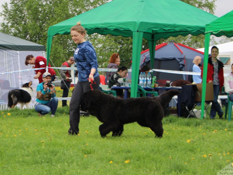 Фотография № 236506