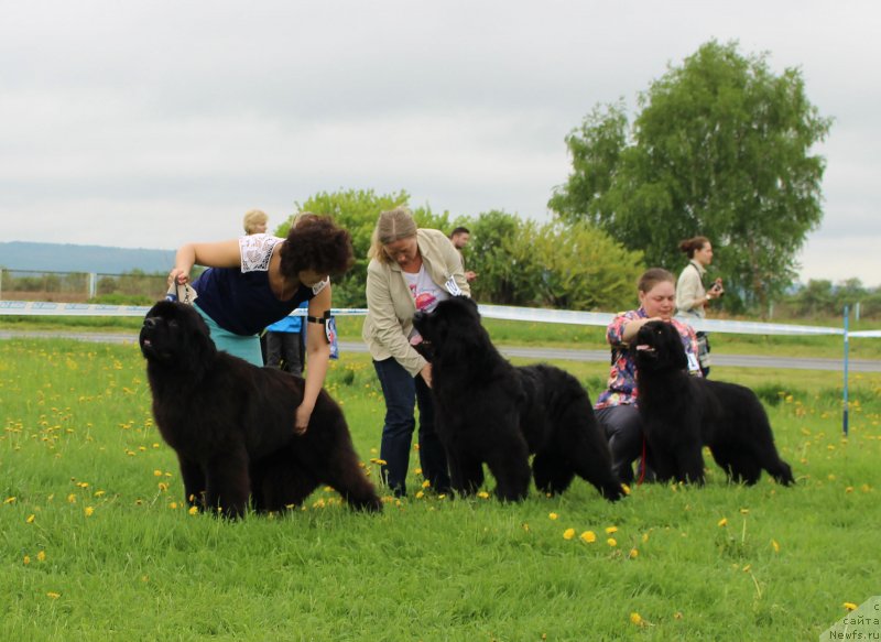 Фотография № 236509