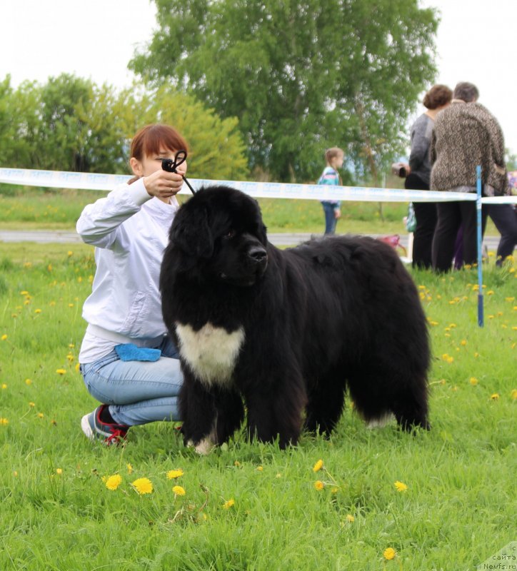 Фотография № 236510