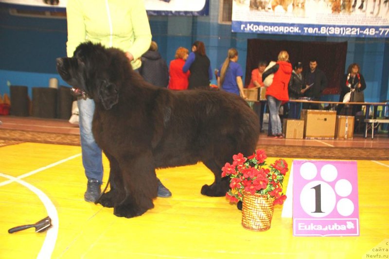 Фотография № 236535