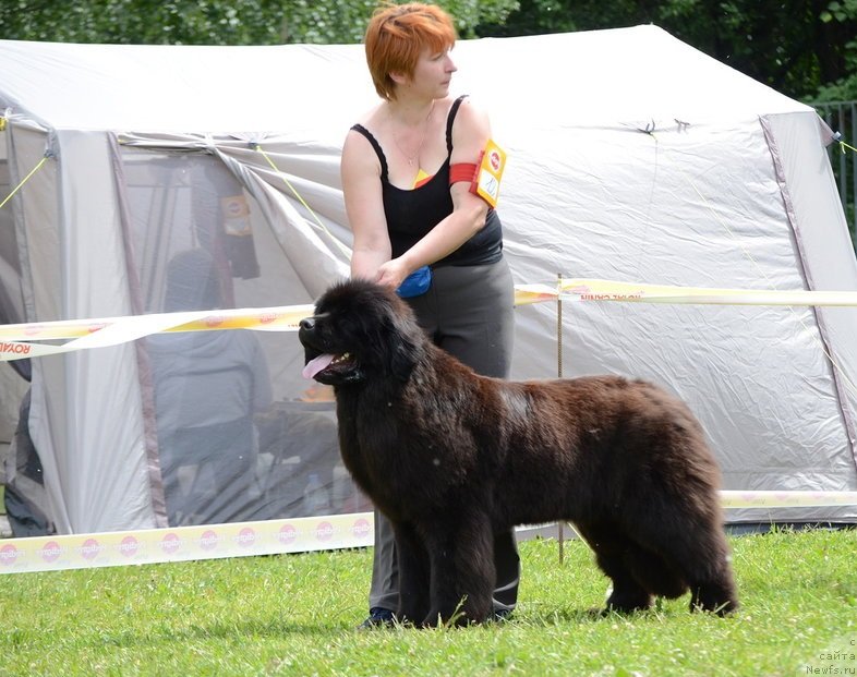 Фотография № 236537