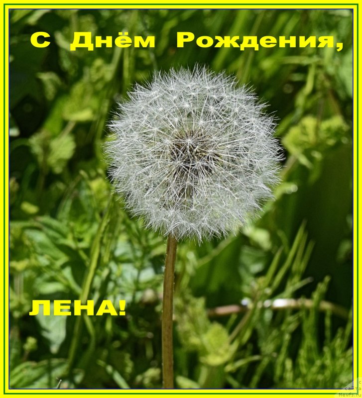 Фото: Елена Шигаль