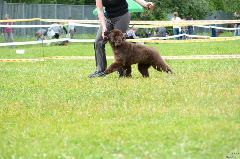 Фотография № 236561