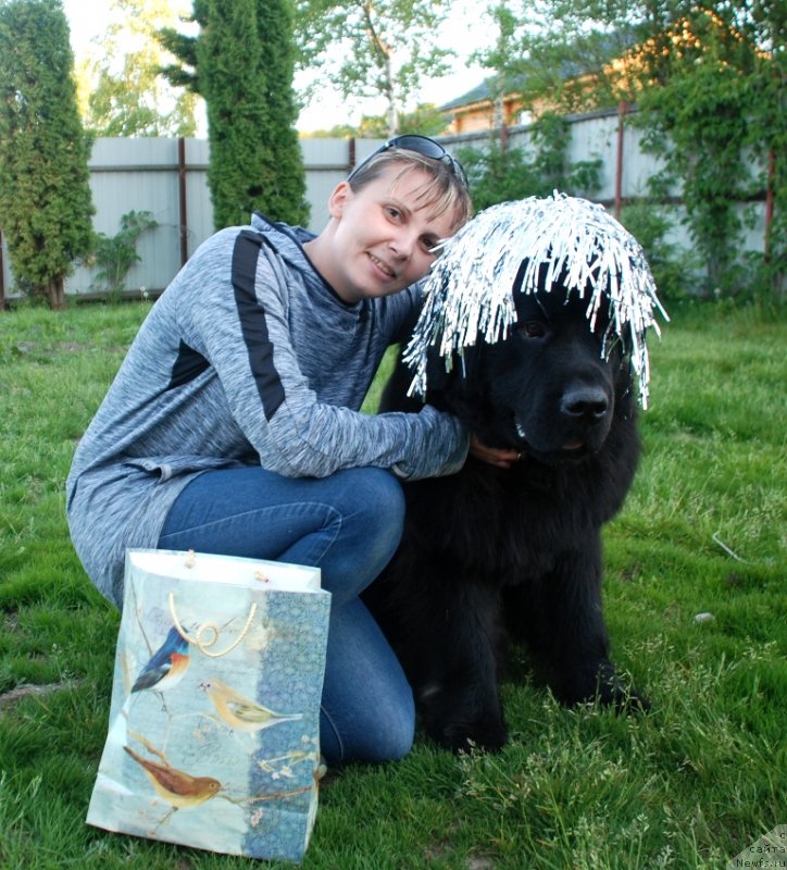 Фотография № 236564