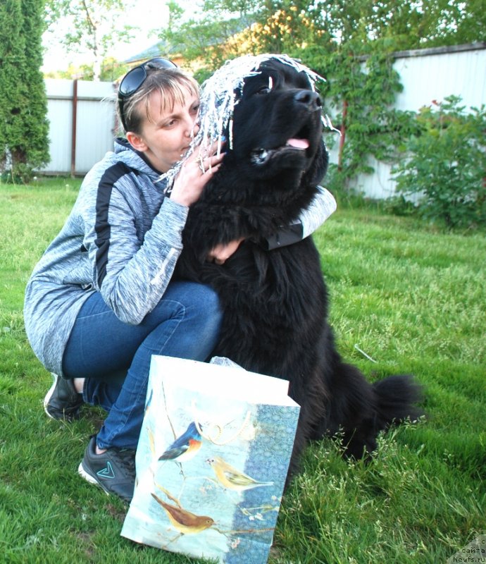 Фотография № 236565