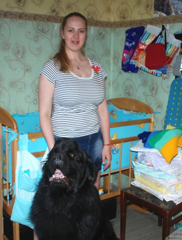 Фотография № 236576