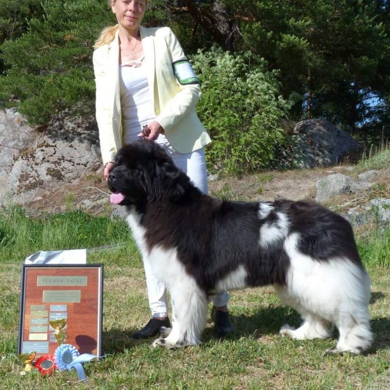 Фотография № 236578