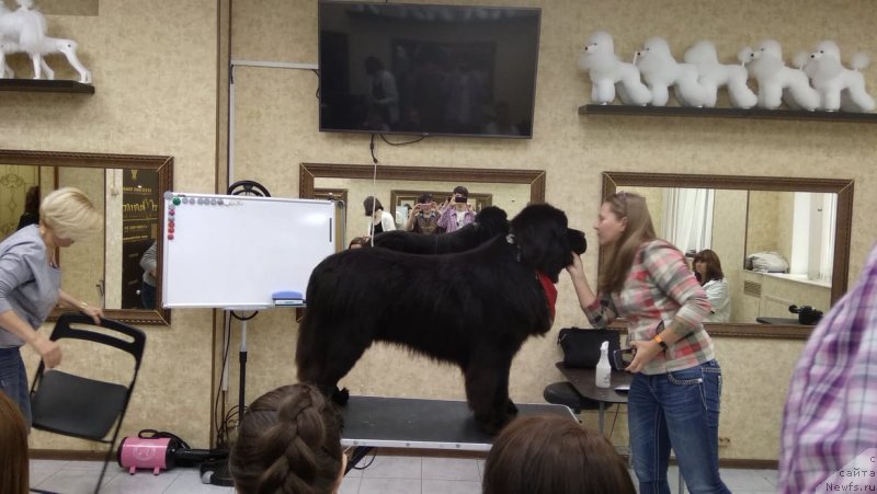 Фотография № 236581