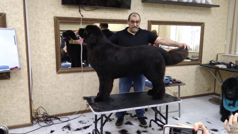 Фотография № 236582