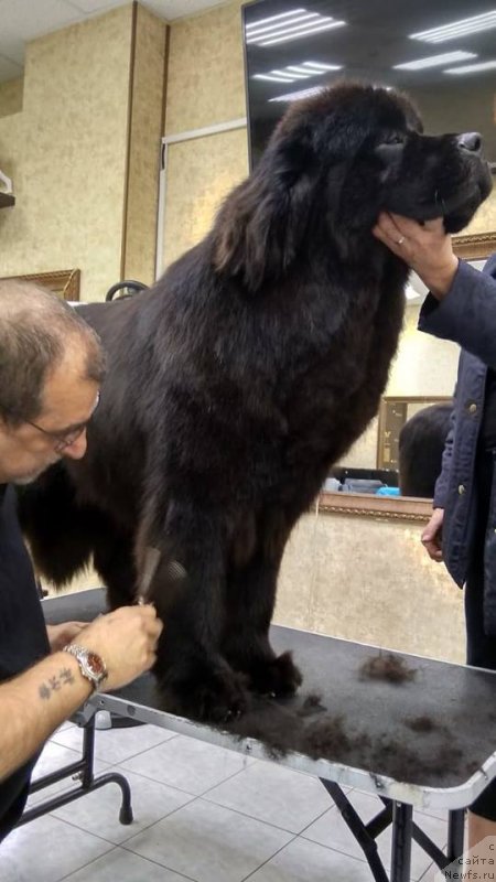 Фотография № 236583