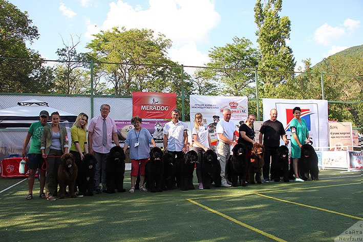 Фотография № 236599