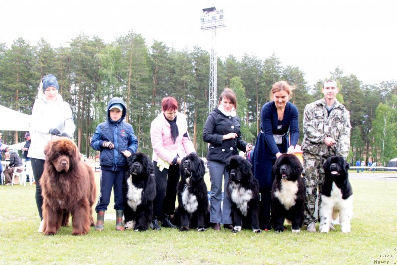 Фотография № 236602