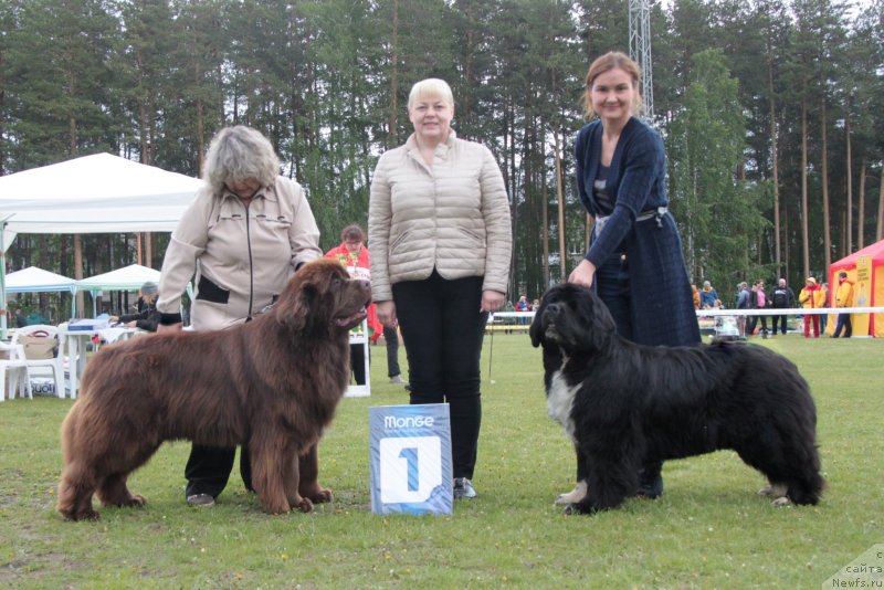 Фотография № 236603