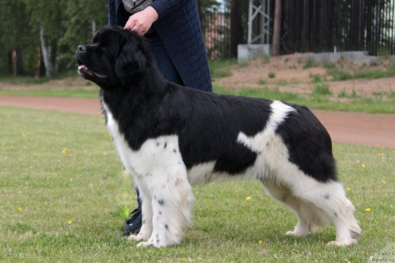 Фотография № 236605