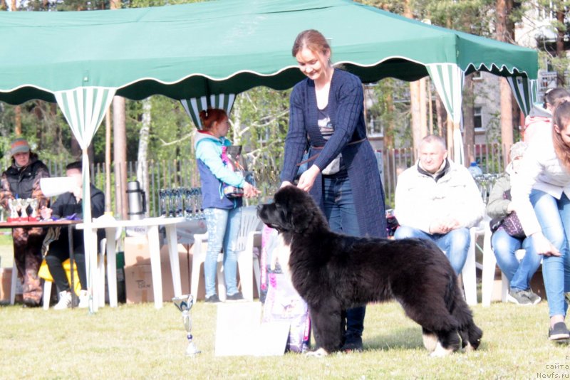 Фотография № 236612