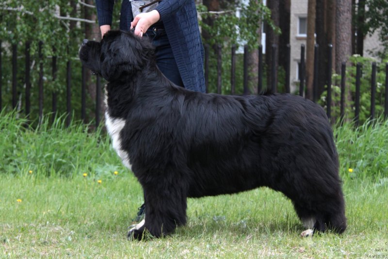 Фотография № 236614