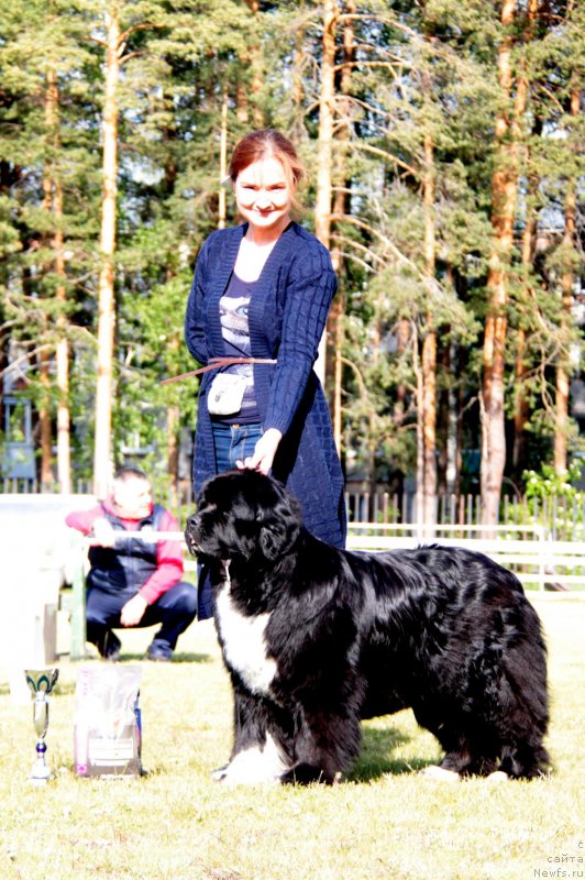 Фотография № 236615