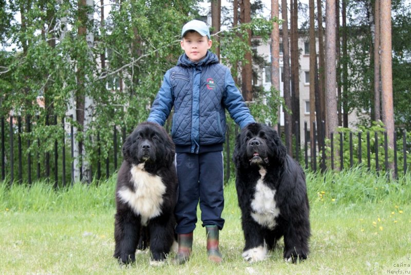 Фотография № 236617