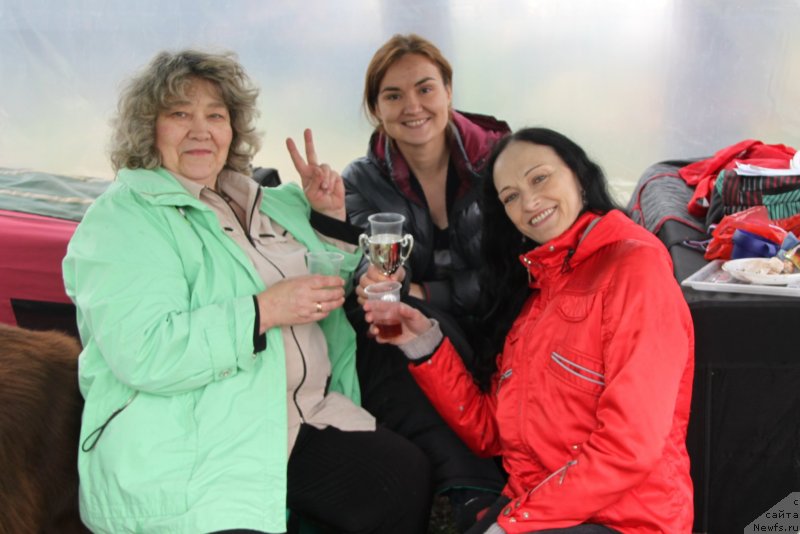 Фотография № 236622